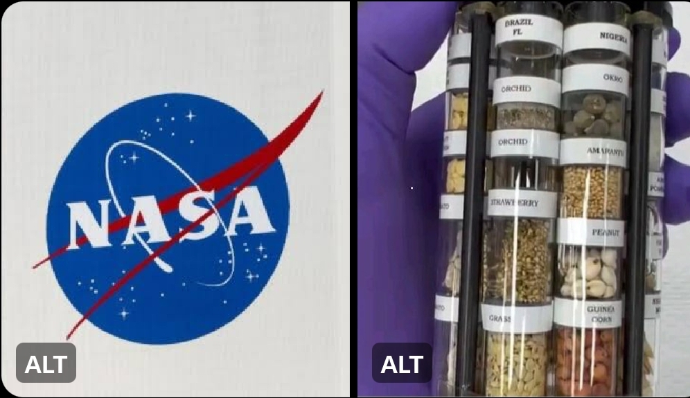 BREAKING: NASA Selects Six Indigenous Nigerian Crops for Space Research in Crew-11 Mission