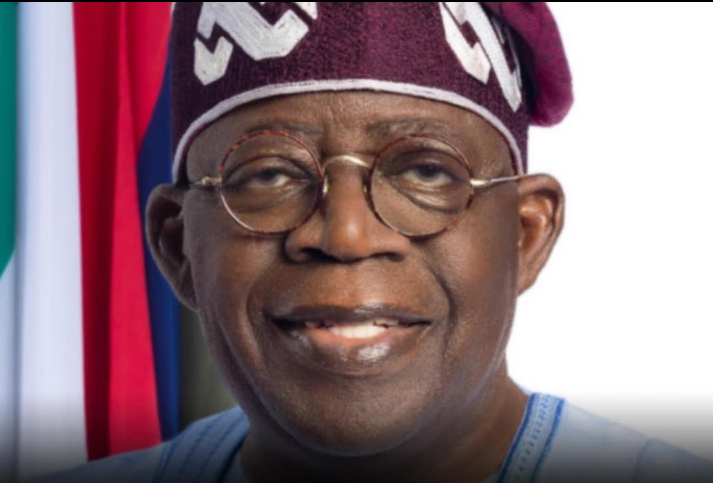 Tinubu Calls on Global Leaders to Declare Mineral Resource Theft an International Crime