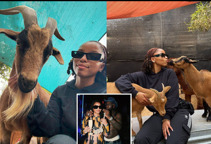 Chloe Bailey Stirs Buzz as She Declares She Only Hangs Out with GOATs Amid Burna Boy Romance Rumors