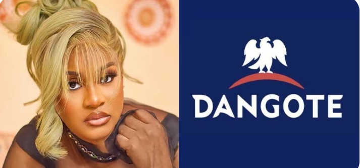 Phyna’s Fiery Showdown with Dangote Group: Reality TV Star’s Public Battle for Justice Over Sister’s Tragic Accident Shakes Nigeria