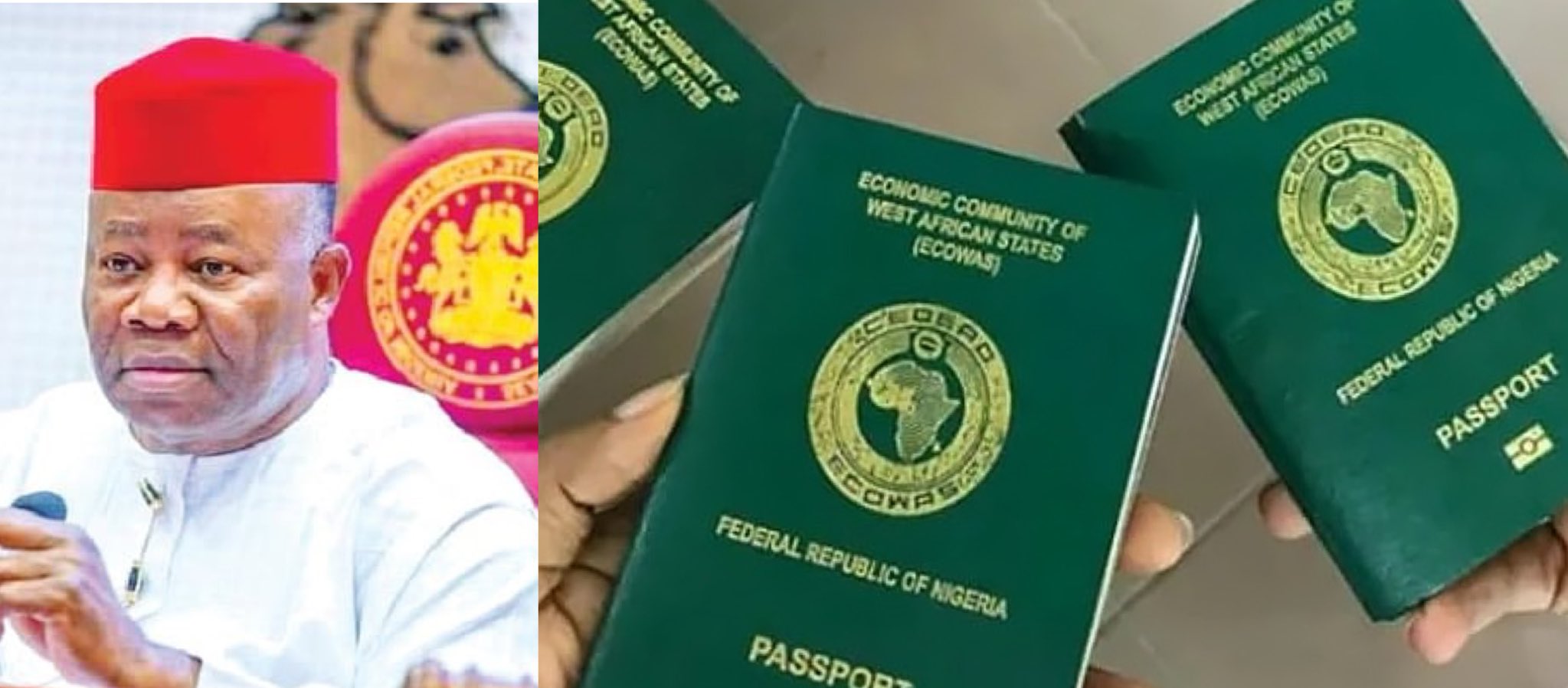 Senate Passes Bill Imposing 10-Year Passport Ban on Nigerians Convicted Abroad