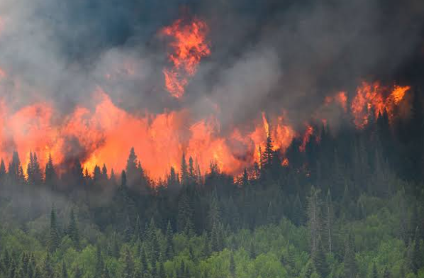 Invisible Danger: How Wildfire Smoke Is Quietly Threatening Millions of Lives Worldwide