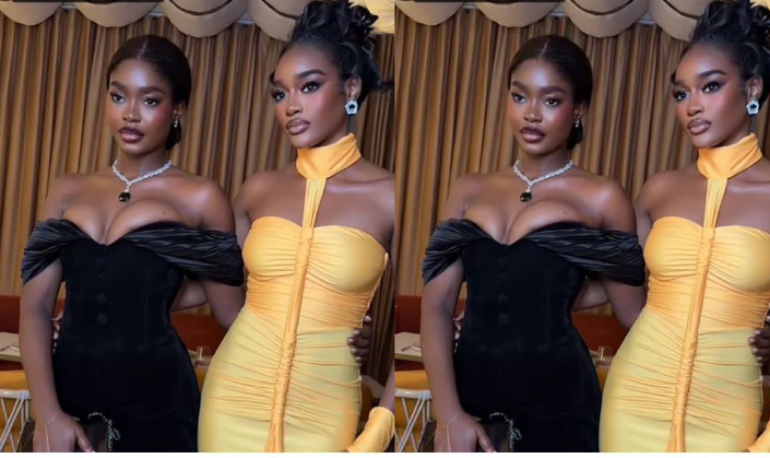 “What’s in the Water in Nigeria?” — Social Media Erupts Over the Beauty of Nigerian Women