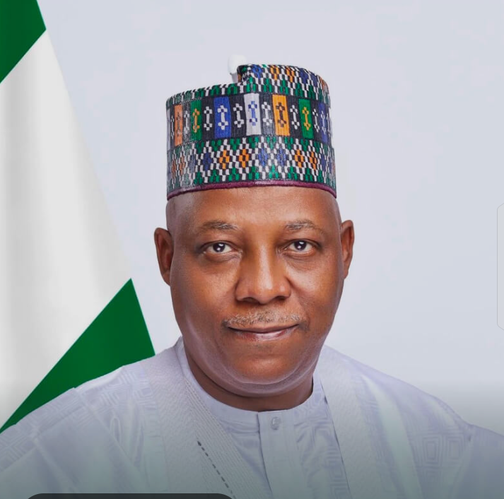 Shettima Trends as Nigerians Fear a Worse Fate if Tinubu Resigns: The Politics, The Rumors, and the Real Story Behind the Viral Boko Haram Photo